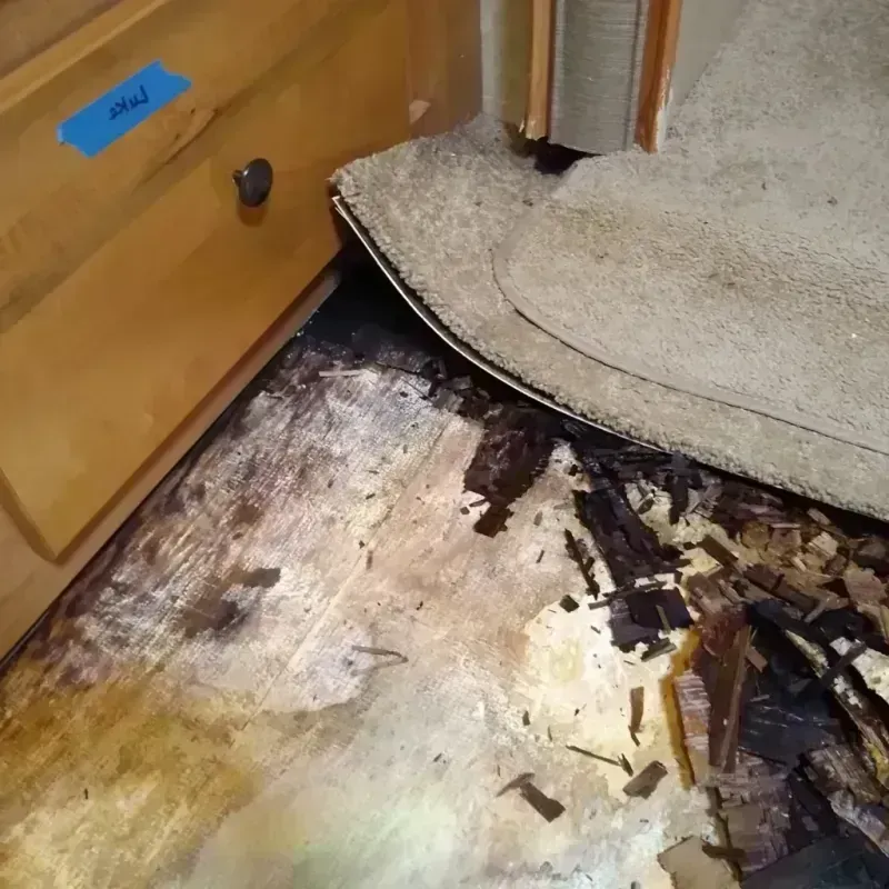 Wood Floor Water Damage in Kayenta, AZ